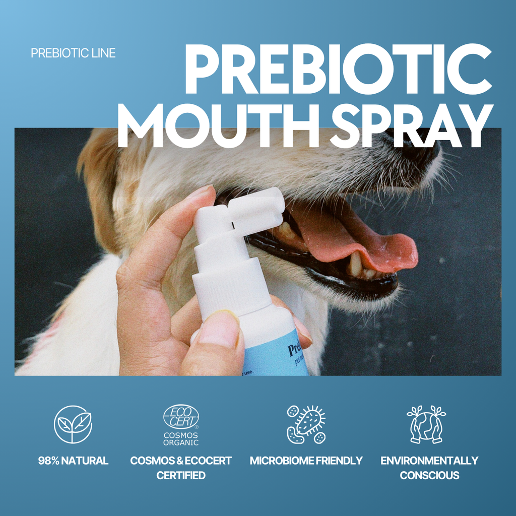 Prebiotic Mouth Spray – Fresh Breath & Oral Care (50ML / 1.7 oz)