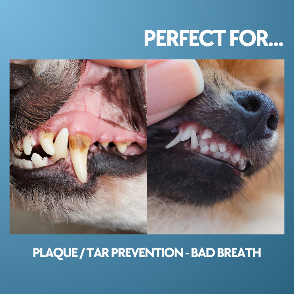 Prebiotic Mouth Spray – Fresh Breath & Oral Care (50ML / 1.7 oz)